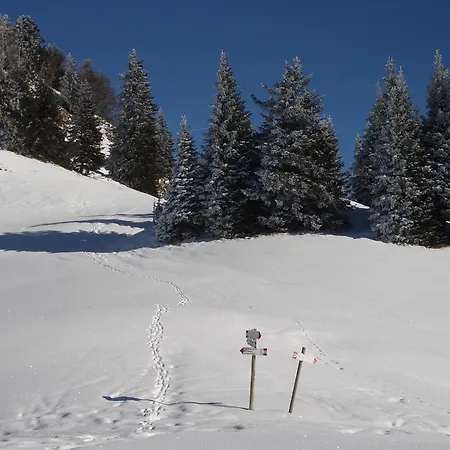 Отель Binelli 3*